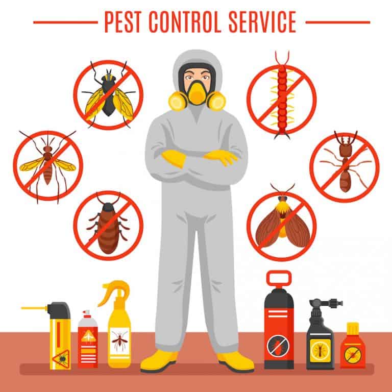 pest-control-companies-in-Sheffield-768x768